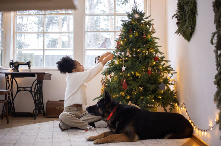 Office Life with a Flocked Christmas Tree